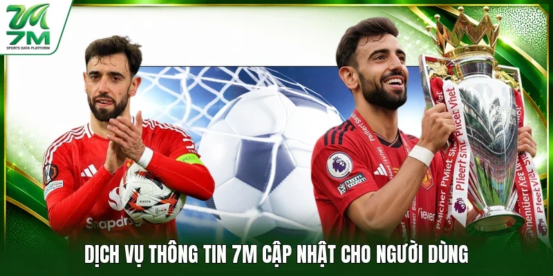 Dịch vụ thông tin 7M cập nhật cho người dùng