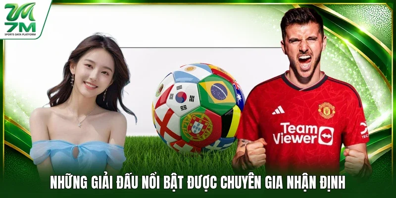 Những giải đấu nổi bật được chuyên gia nhận định