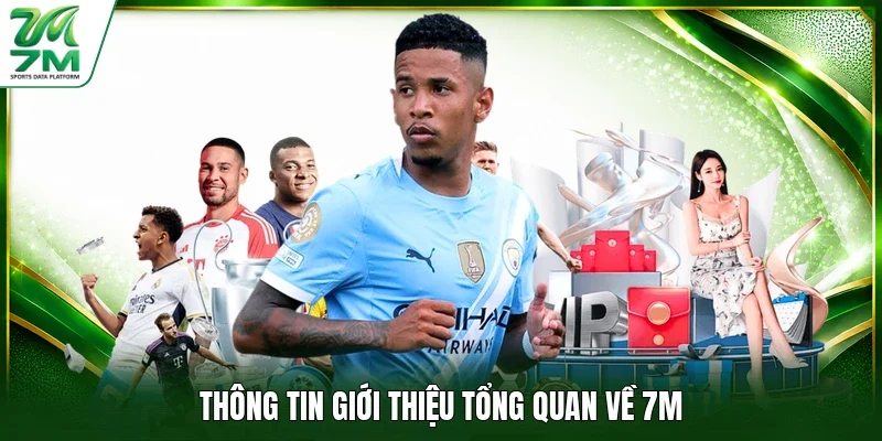 Thông tin giới thiệu tổng quan về 7M