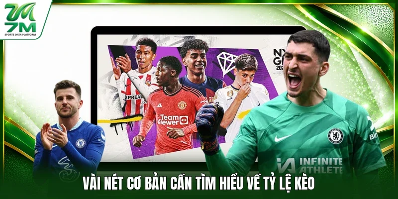 Vài nét cơ bản cần tìm hiểu về tỷ lệ kèo